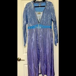 Elsa Costume, Frozen II, Adult L